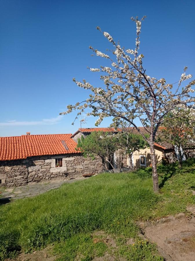 Ferienwohnung Balcon De San Caetano Cristosende Exterior foto
